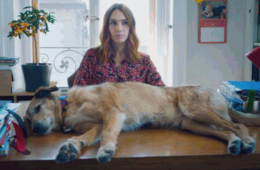 El juicio de un perro