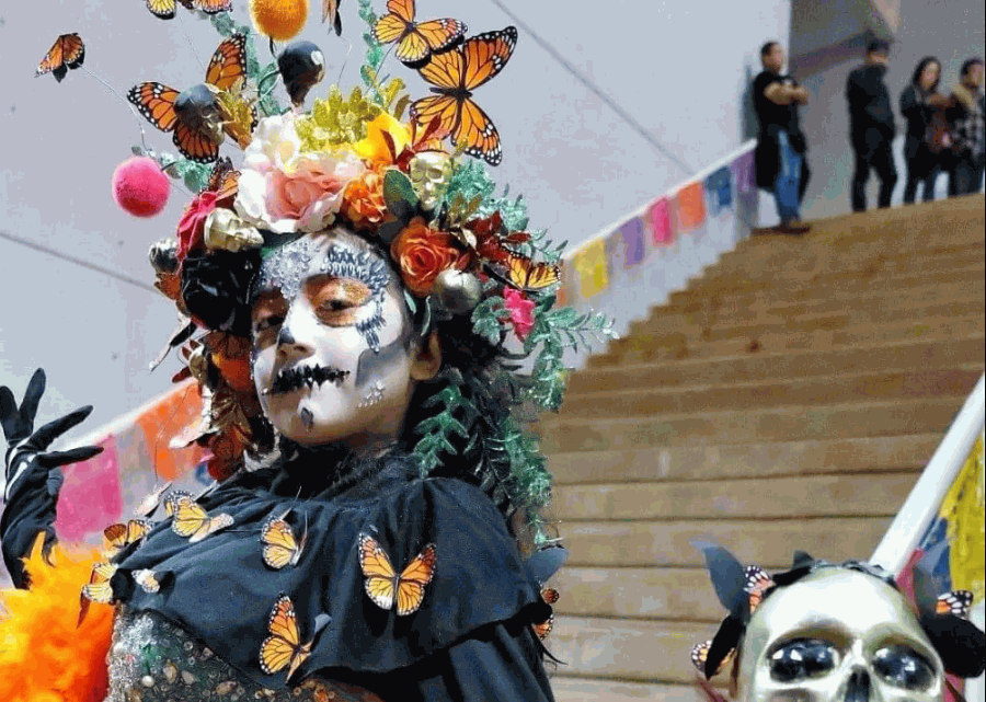 Imagen muestra de la actividad Una noche en el Museo Tamux