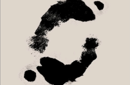 Imagen muestra de la actividad La huella de unos labios