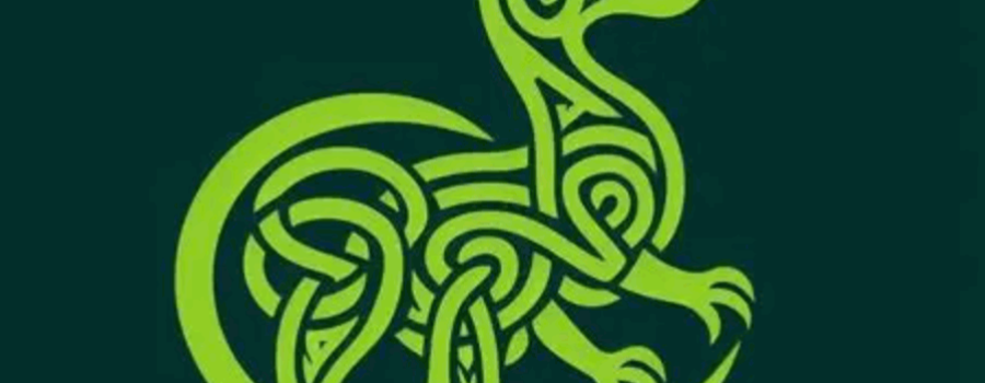 Fiesta Irlandesa