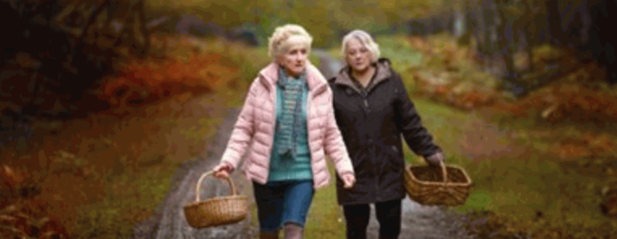 Cuando llega el otoño