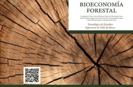 Imagen muestra de la actividad Bieconomía forestal