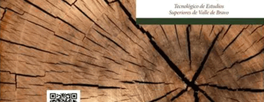 Bieconomía forestal