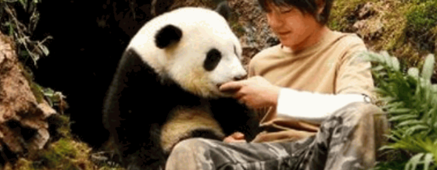 Moon mi amigo el panda