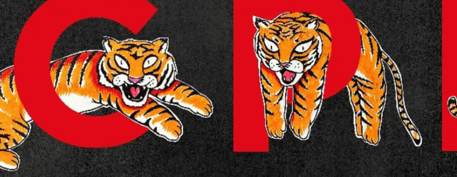 Cachorros de tigre