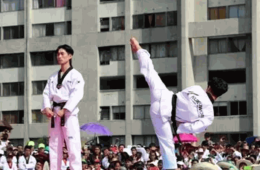 Imagen muestra de la actividad 50 años del taekwondo en México