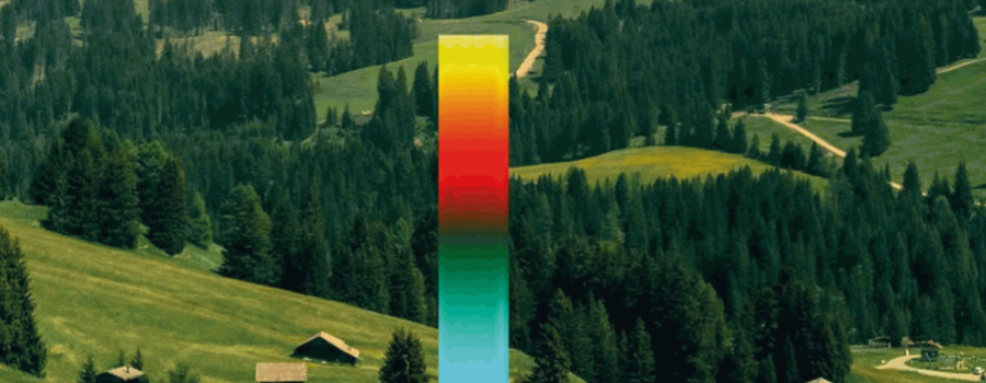 Uno no sabe con certeza cuál es la brizna que rompe la espalda de un camello