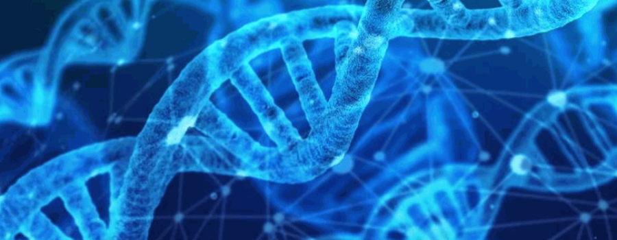 Noventa por ciento epigenética y diez por ciento humanos