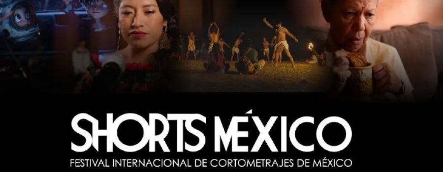 Festival Internacional de Cortometrajes de México. Shorts México