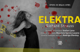 Imagen muestra de la actividad Elektra