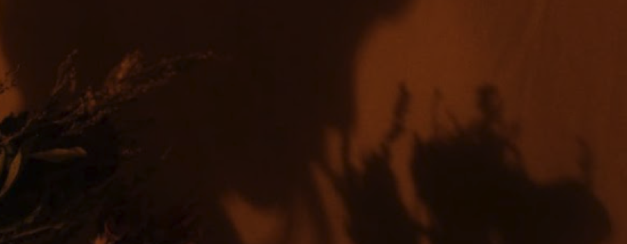 DementeNmente Teatro