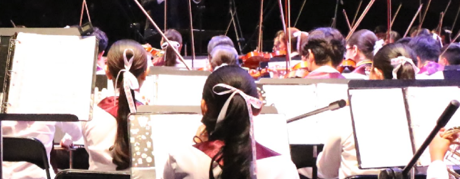 Orquesta Sinfónica y Coro Real Unidos por Zacatecas & los Amantes de la Che-Ska