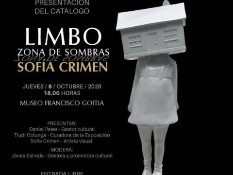 Limbo: Zona de sombras
