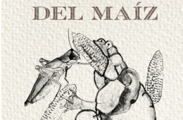Imagen muestra de la actividad: Día nacional del maíz en el CaSa