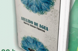 Imagen muestra de la actividad: Presentación del libro Aullido de Agua