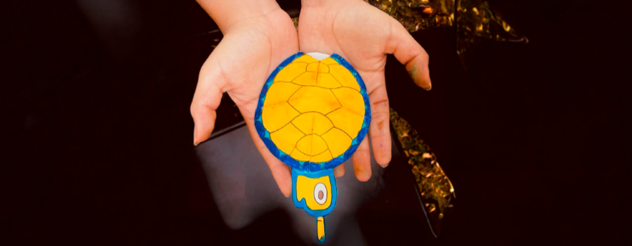 Carapacho de tortuga