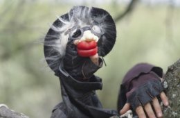 Imagen muestra de la actividad: El carretón del desierto