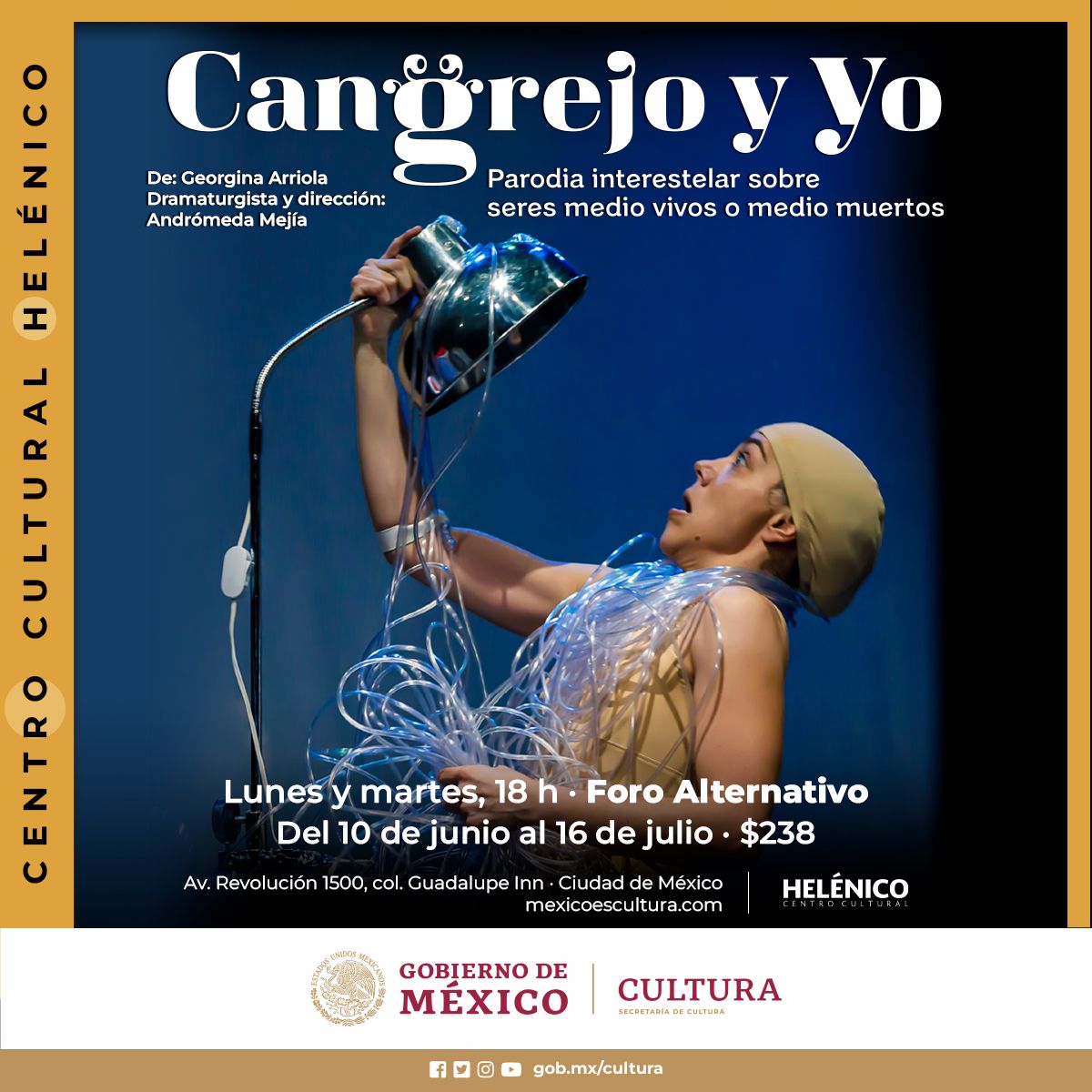 Imagen muestra de Cangrejo y yo