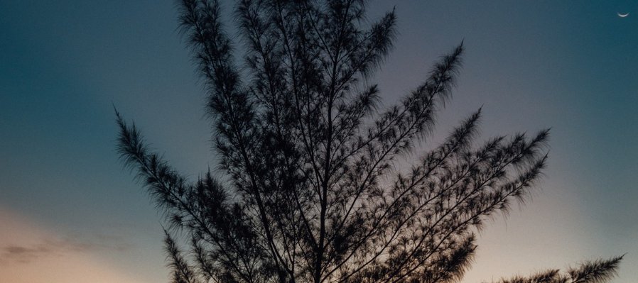 Cartografiar lo invisible: relato, memoria y refugio