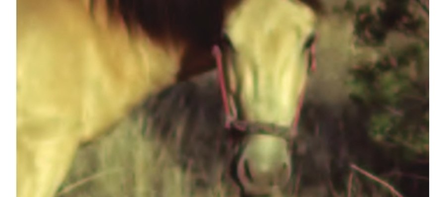 Cartografías oníricas