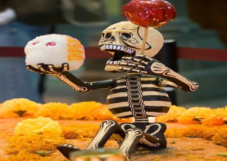 Imagen muestra de la actividad CartonerÃa