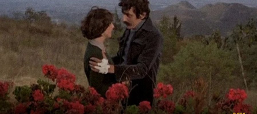 Cascabel