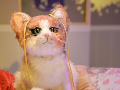 Imagen muestra de Cati, Catalina, Calico, o la maravillosa vida de la niña gato