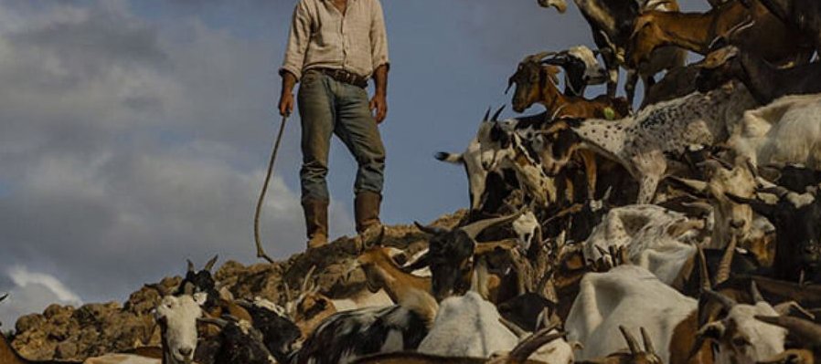 La sombra del Catire