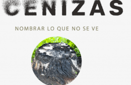 Imagen muestra de la actividad: Cenizas. Lo que no se ve