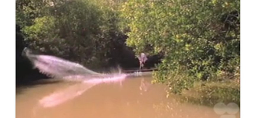 Pantanos de centla y xochimilco