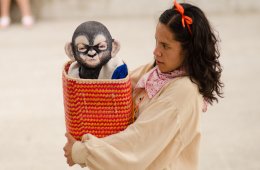 Imagen muestra de la actividad Laboratorio de animación de títeres y objetos