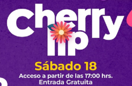 Imagen muestra de la actividad 