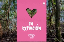Chiquilla te quiero (núm. 7): presentación de revista