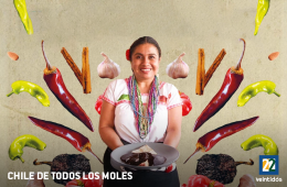 Chile de todos los moles