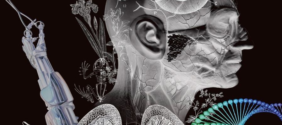 Ciencia-Tlan-Arte