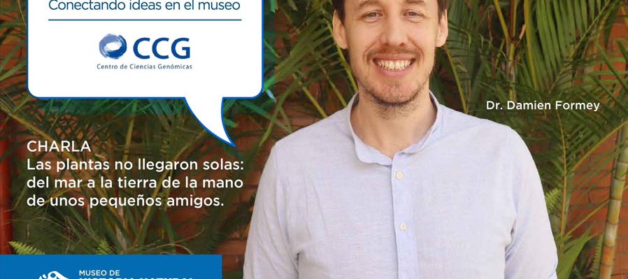 Las plantas no llegaron solas: del mar a la tierra de la mano de unos pequeños amigos