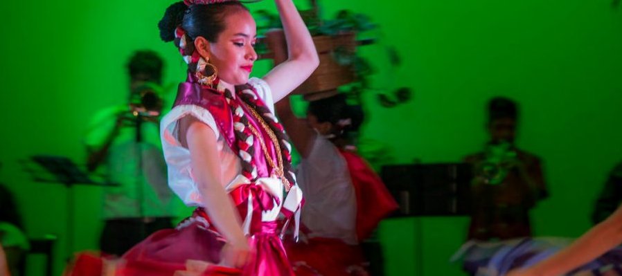 Mis cinco sentidos, linaje y legado del Papaloapan a Tuxpan