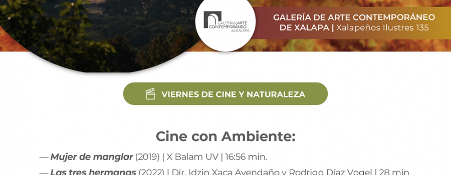 Cine con Ambiente