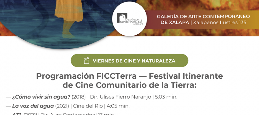 Festival Itinerante de Cince Comunitario de la Tierra
