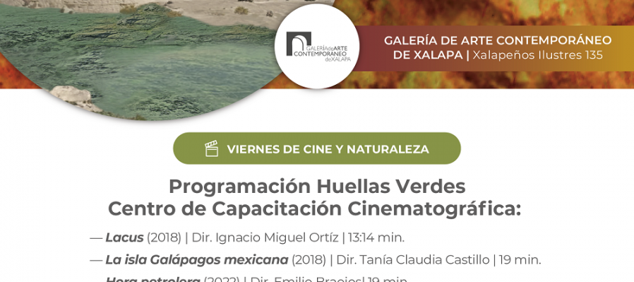 Programación Huellas Verdes