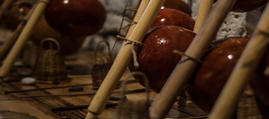 Desarrollo de la Capoeira en México