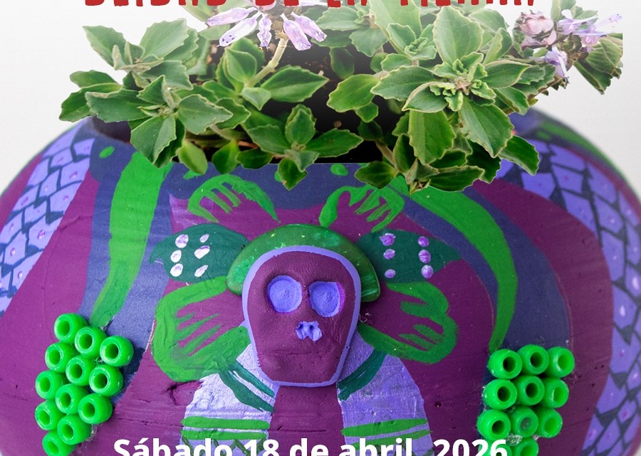 Imagen muestra de la actividad 