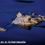 Imagen muestra de Cocodrilos, el último dragón