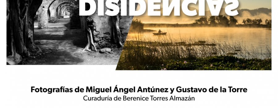Coincidencias / Disidencias