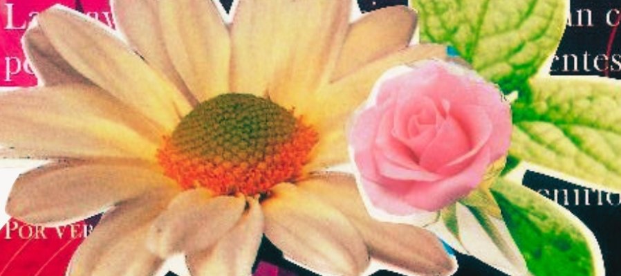 Collage con puntadas básicas de bordado