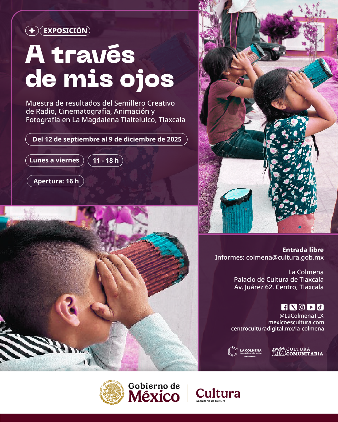 Imagen muestra de la actividad A través de mis ojos
