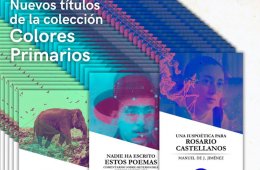 Imagen muestra de la actividad Colores primarios