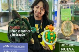 Cómo identificar a tu dragón