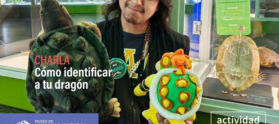 Cómo identificar a tu dragón