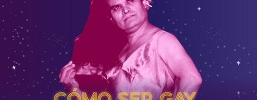 Como ser gay y no morir en el intento